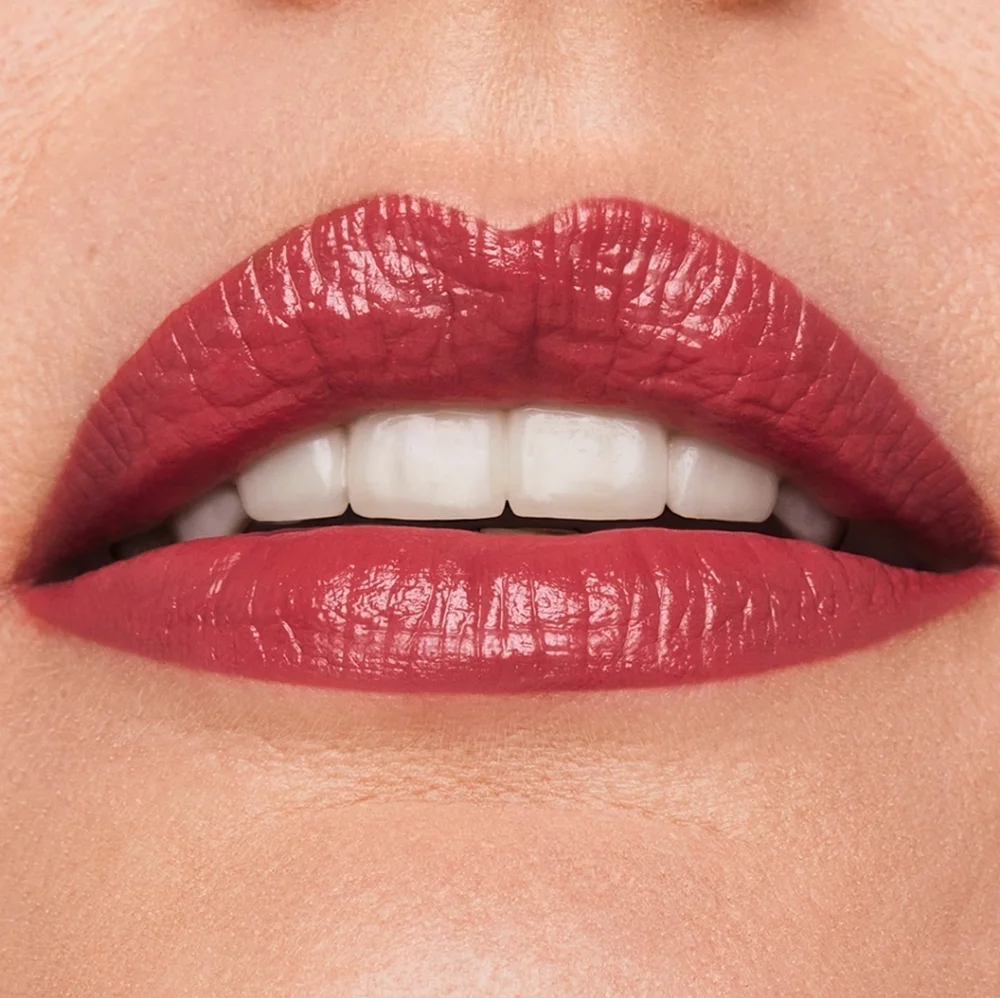 Lipstic Organizer & Rebellious Rose 420 Lipstick Estee Lauder